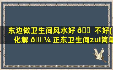 东边做卫生间风水好 🐠 不好(化解 🌼 正东卫生间zui
简单的方法)